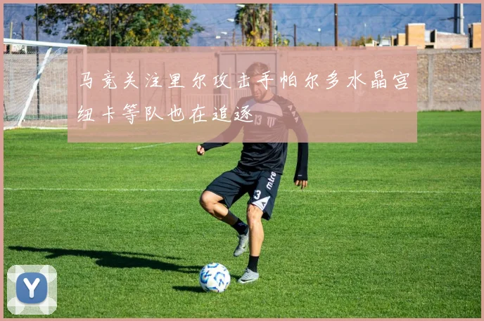 马竞关注里尔攻击手帕尔多水晶宫纽卡等队也在追逐