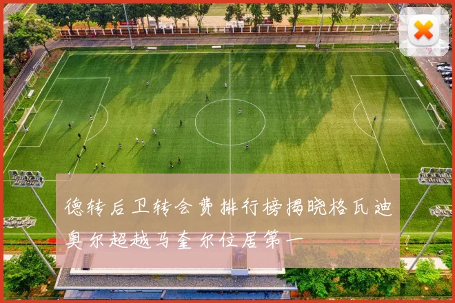 德转后卫转会费排行榜揭晓格瓦迪奥尔超越马奎尔位居第一