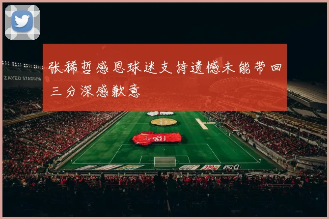 张稀哲感恩球迷支持遗憾未能带回三分深感歉意