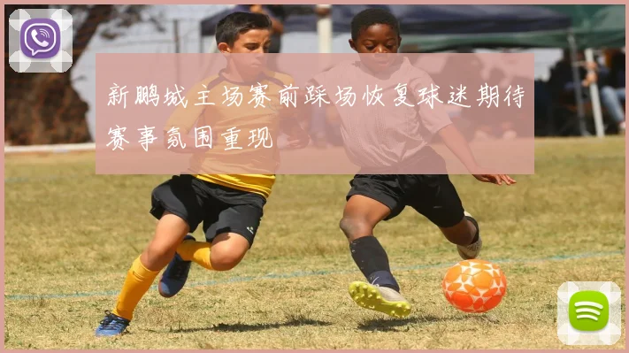 新鹏城主场赛前踩场恢复球迷期待赛事氛围重现